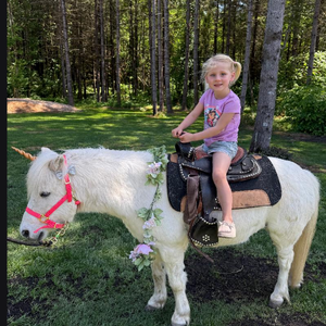 Team Page: Team Nora